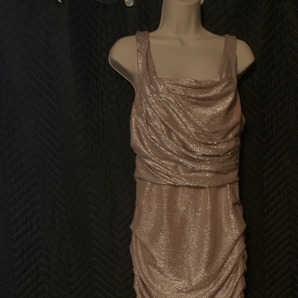 express rose gold dress